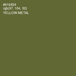 #616834 - Yellow Metal Color Image